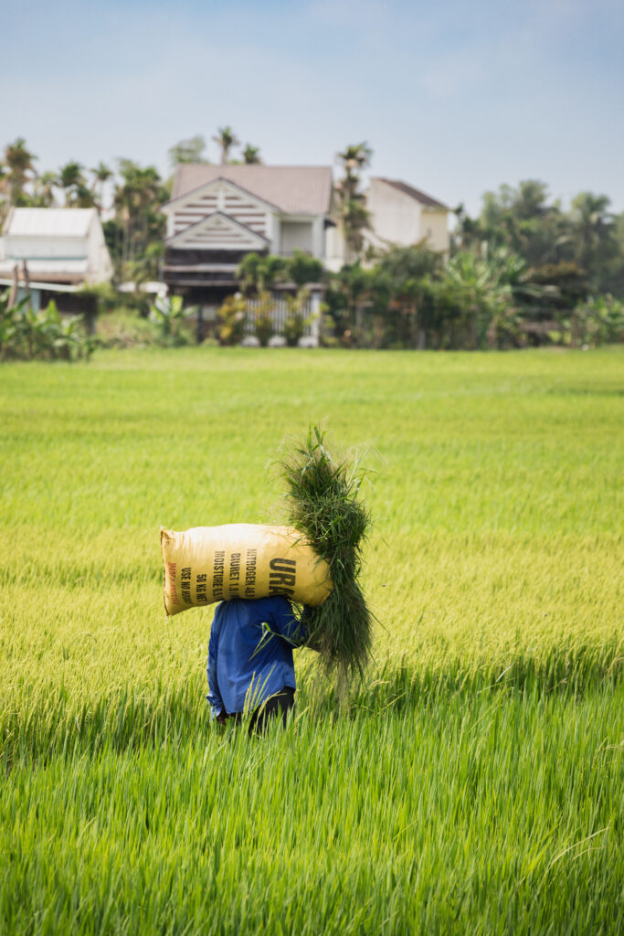 thvillers photographie voyage Vietnam